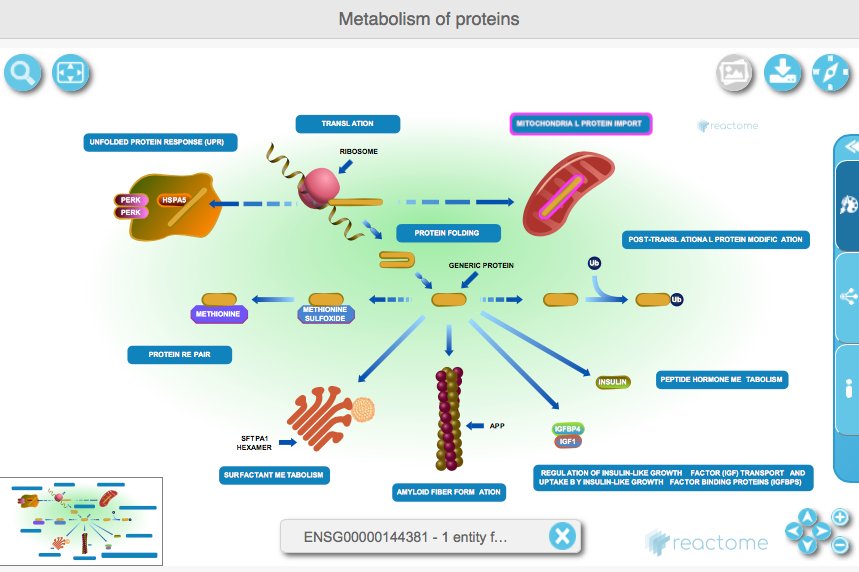 ensembl's tweet photo. HSPD1 is involved in seven pathways. Check our interactive @reactome display: https://t.co/r4VXrLvGq8
You can download the diagrams in png or pptx format! #Geneoftheweek #HSP60 https://t.co/BnHEqzgqCR