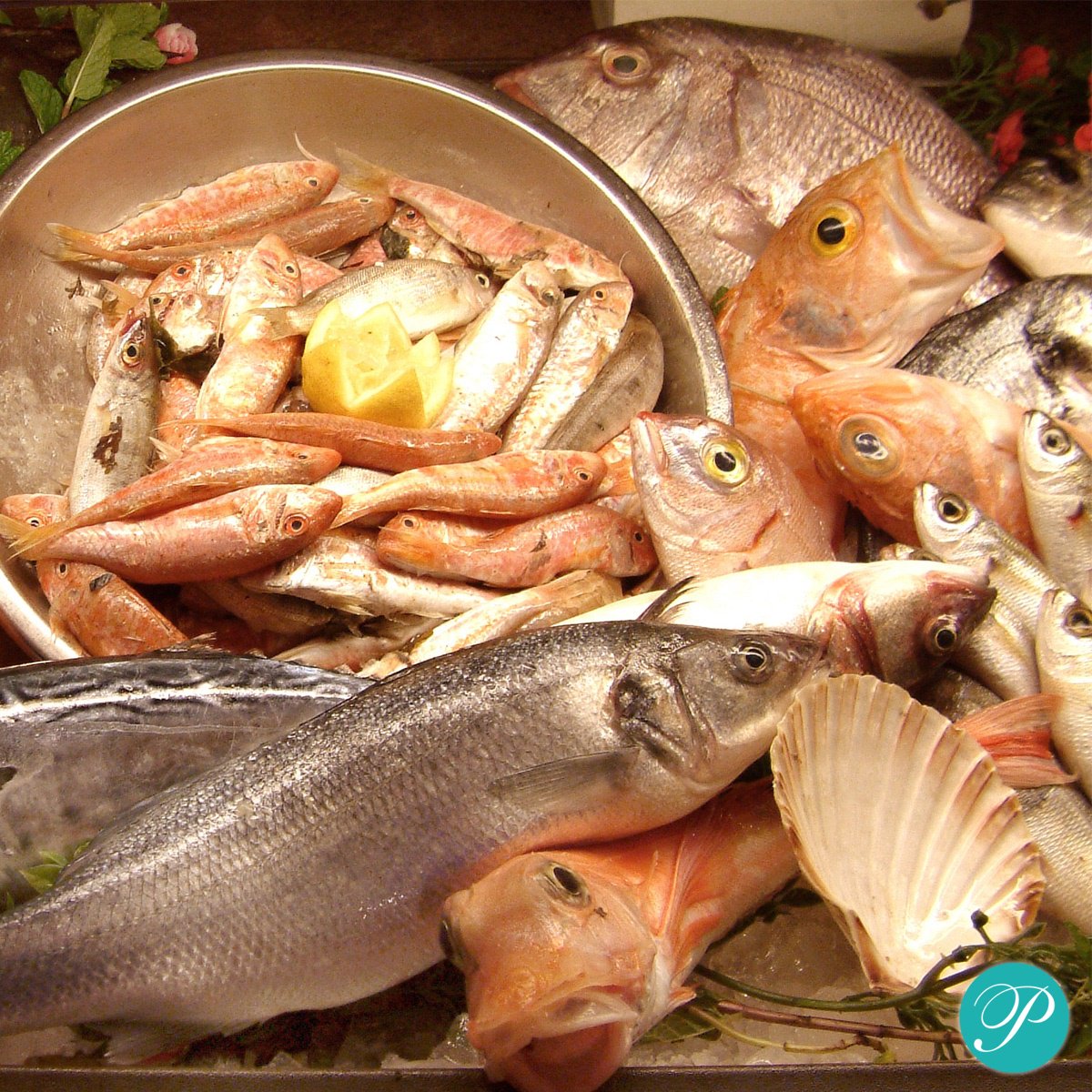 MaltaParadise's tweet photo. Malta has a great reputation for providing some incredible Mediterranean seafood. Here is some traditional Maltese seafood 😍

#visitmalta #wednesdaymotivation #foodporn #maltaparadiseholidays #seafoodlovers https://t.co/tqzurbS3Ee