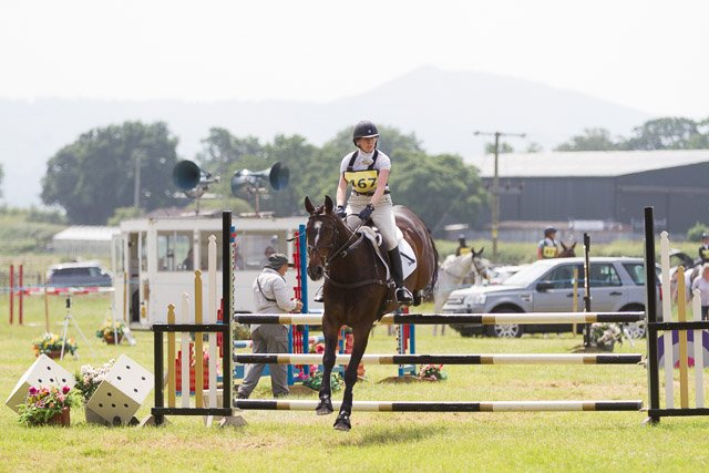 Dengie Horse Feeds tweet media