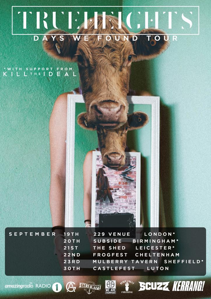 TrueHeights tweet media