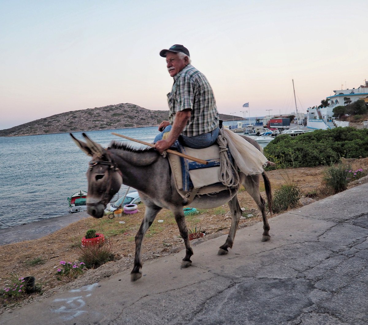 girovagate's tweet photo. #Lipsi, la Grecia com'era una volta (ed è ancora),
dove ogni mattina sul porto trovi i pescatori che rammendano le reti
e ogni sera prima del tramonto vedi tornare a casa i contadini in sella agli asinelli
#girolipsi #incollaborazionecon #isoladeacalipso https://t.co/iN5XjgWA6Q