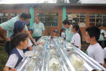 Do you know how solar water disinfection with WADI works? 🌞💧
In #Colombia the <a href="/fhumedales/">Fundación Humedales</a> in cooperation with Academia de Sostenibilidad de Sika showed the children of Fúquene the process behind #SODIS with #WADI. 

Read more (Spanish):
fundacionhumedales.org/wp/sodis-con-n…

#SocEnt #water