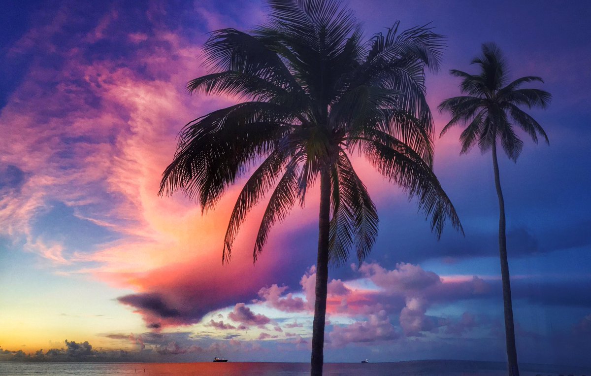 Fort Lauderdale Sun tweet media