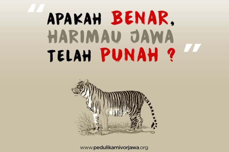 MongabayID's tweet photo. Ekspedisi Harimau Jawa, Pencarian Tanpa Lelah Karnivora yang Dinyatakan Punah https://t.co/9PA8LQ8E6G https://t.co/WR9U11VXyu