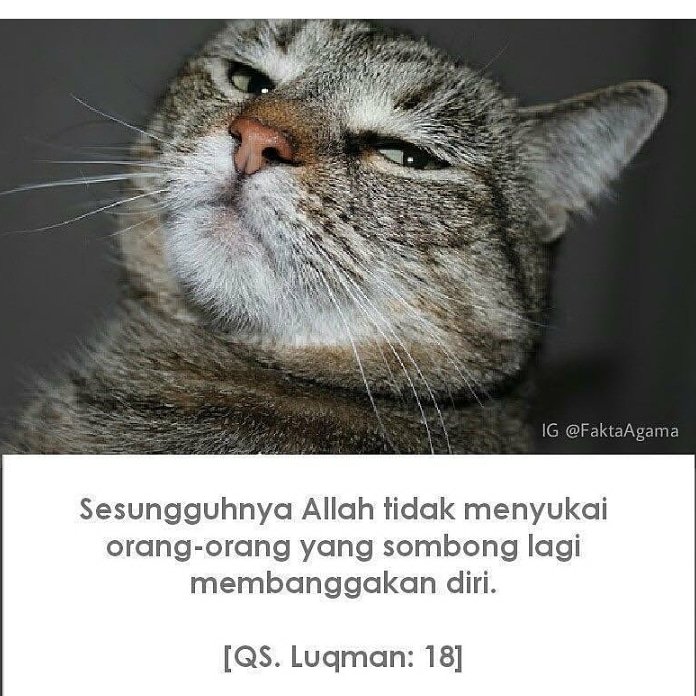 seno_15's tweet photo. Tuh baca... https://t.co/3hPnq0LU3v