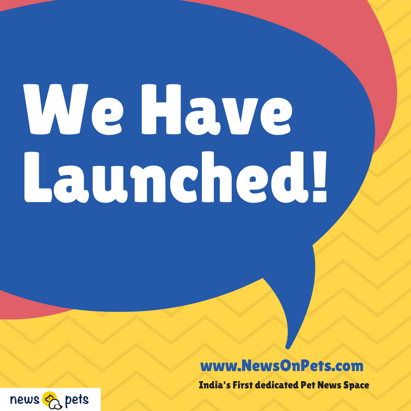 newsonpets's tweet photo. Introducing India's First dedicated #PetNews space
https://t.co/JMxC2qTWAT https://t.co/dw4MyeF7Ec