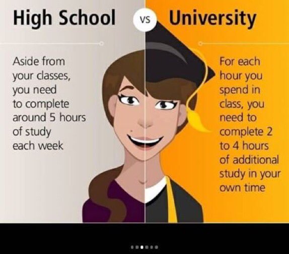 Image result for university vs school