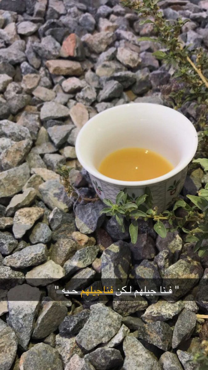 فــنــآ، جيـلـهم لكن فناجيلهم حيـه.