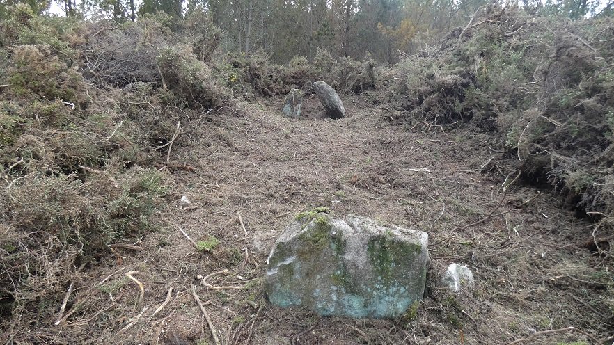 historiaGAL's tweet photo. Atopan excepcionais #gravados nun dolmen de #Friol que relacionan con #ondas ou #serpes https://t.co/4YYZlsc8nd https://t.co/3zTomSSXOZ