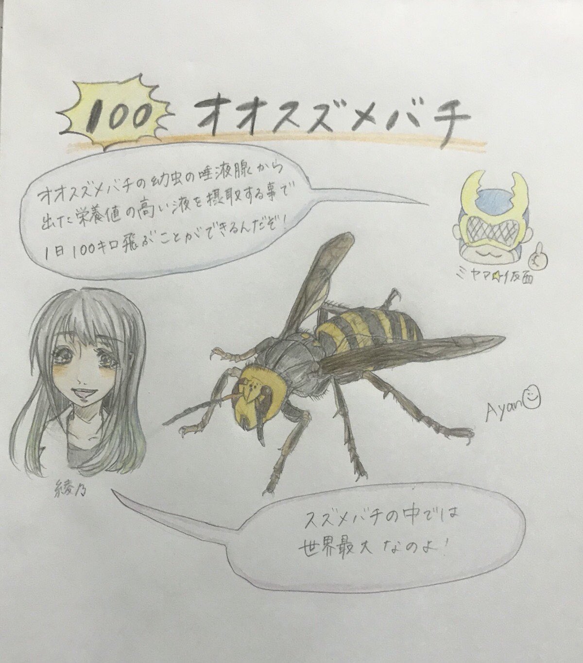 垣原綾乃 100虫目 一日一虫 今日は最強にかっこいいオオスズメバチです このシリーズも100日間続けることができました やったー 100回記念でカラーです 今日から一日一虫は一旦お休みに入ります 見てくださった皆様どうも