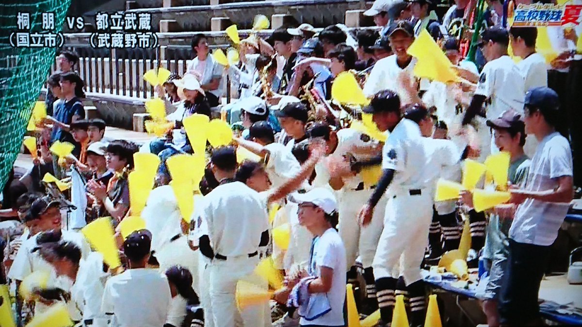 東京都桐朋高校って山田や宇佐見のイメージで勝手に東大のライトブルー