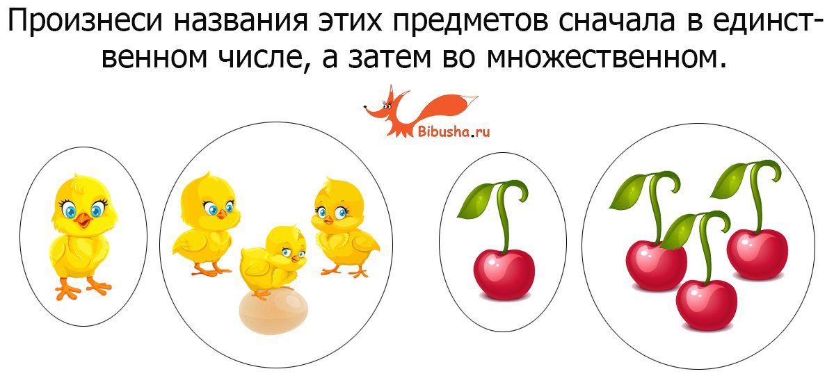 Единственное и множественное число примеры