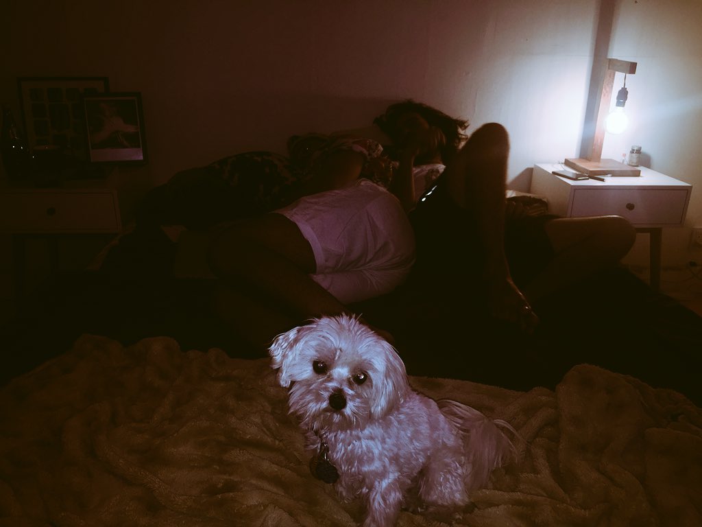 Gadi, Nick, George Michael Michaels. 2018