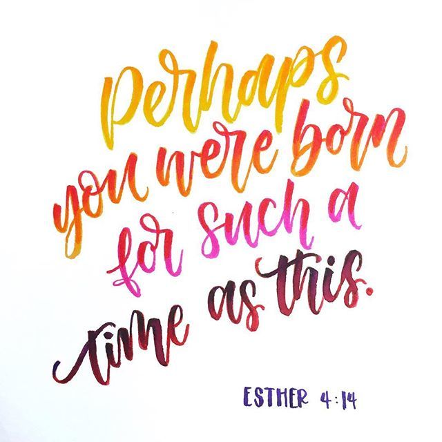 “Perhaps you were born for such a time as this.” (Esther 4:14)
#YourLifeHasPurpose #YouAreNotAMistake #TheWorldNeedsYou #ShowUp #BeYourselfBecauseEveryoneElseIsTaken 
#handlettering #typographyinspired #typeverything #artoftype #designspiration #typograp… ift.tt/2zrYDVZ