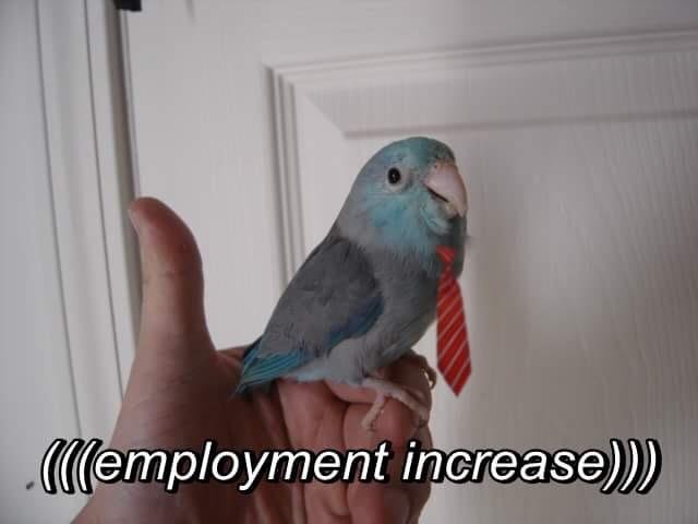 pix Birb Screm Meme bird memes