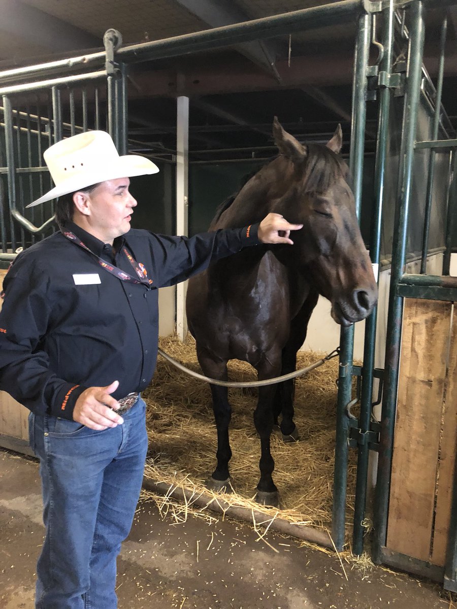 ronsouthernsch0's tweet photo. Wow what a fantastic experience Mrs Tipper and Miss Olson received to inspire for stampede school next year - a behind the scenes Stampede tour. Thank you so much Stampede School 😊#yycccom #CalgaryStampede #calgarystampedeschool https://t.co/ZQ46PYy03q