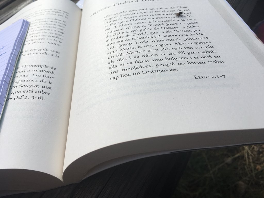 Lampurlanes's tweet image. #Pau #pluja #pregar #silenci #senzillesa #mansuetud