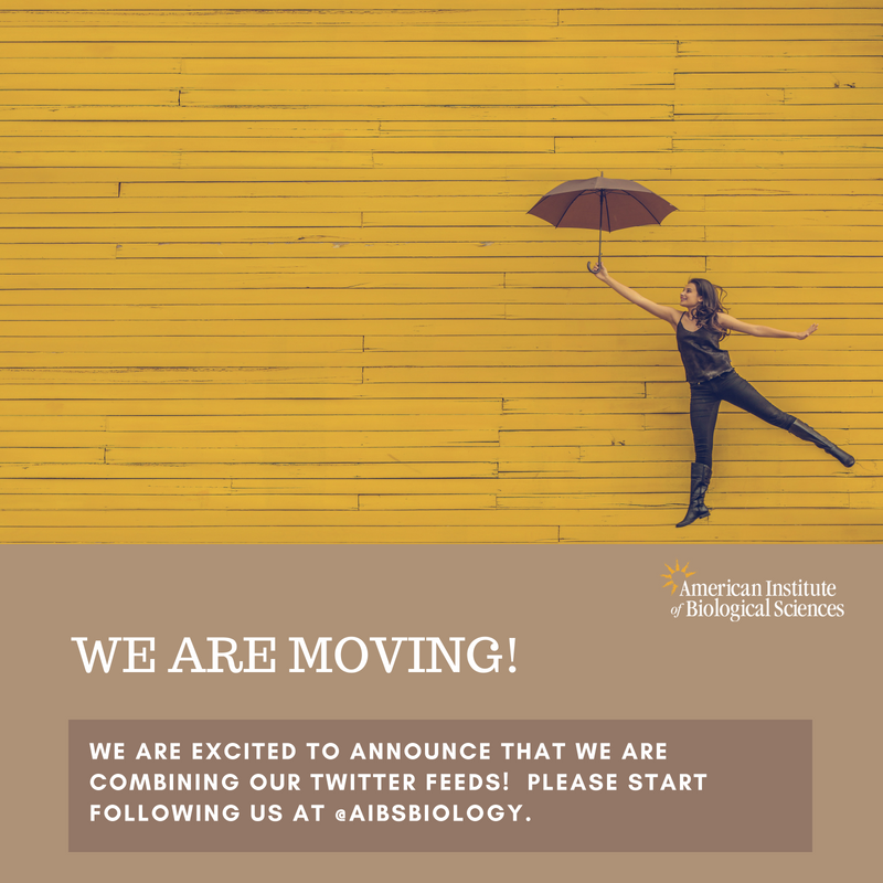 BioScienceAIBS's tweet image. Did you hear the news?  We are moving to the main #AIBS Twitter account.  Follow us now at  @AIBSbiology  #bioscience #biology #excitingnews #joinus #sciencejournal #combiningaccounts #opensource #journal