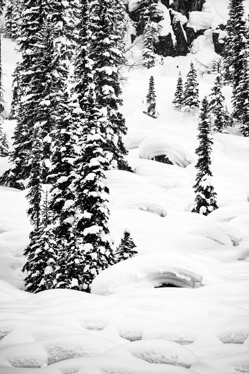 StellarHeli's tweet image. @TravRice boosting the pillow factory @StellarHeli 📷 @fotomaxizoomdweebie #stellarheli #libtechnologies #quicksilver