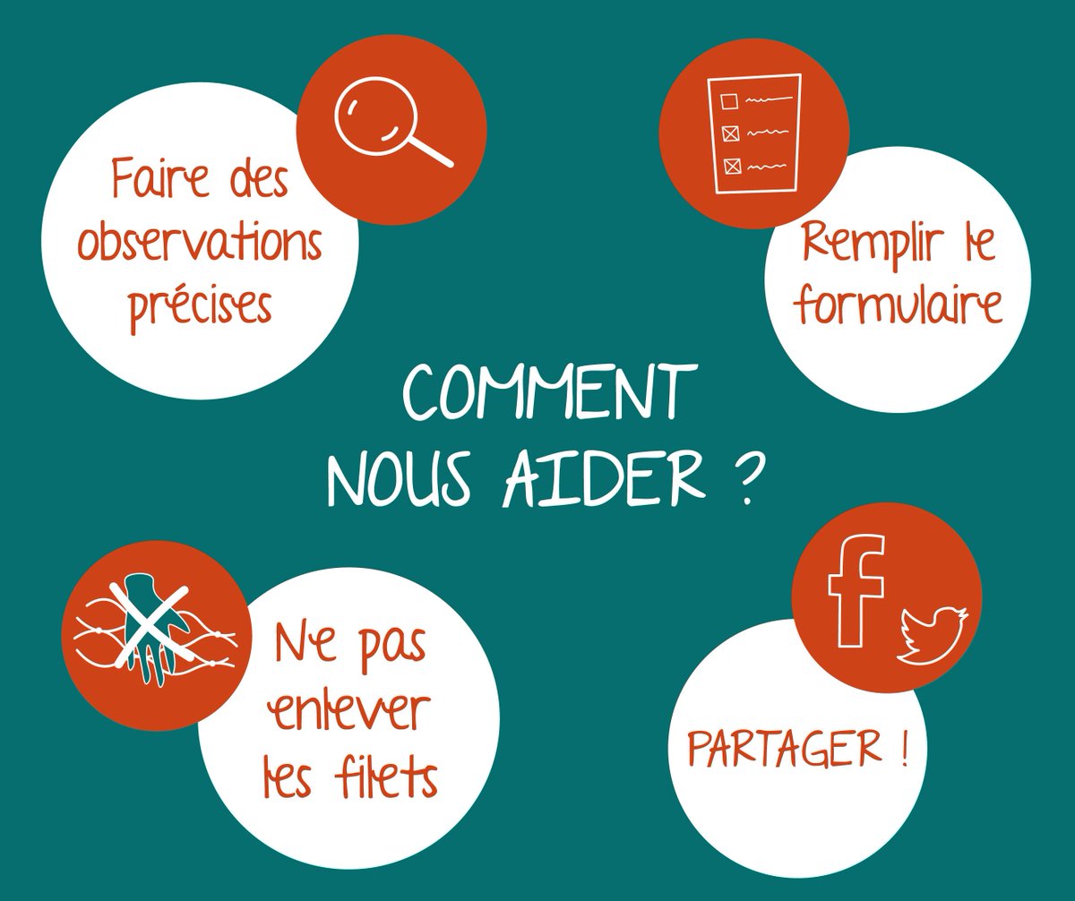 GhostMed tweet media