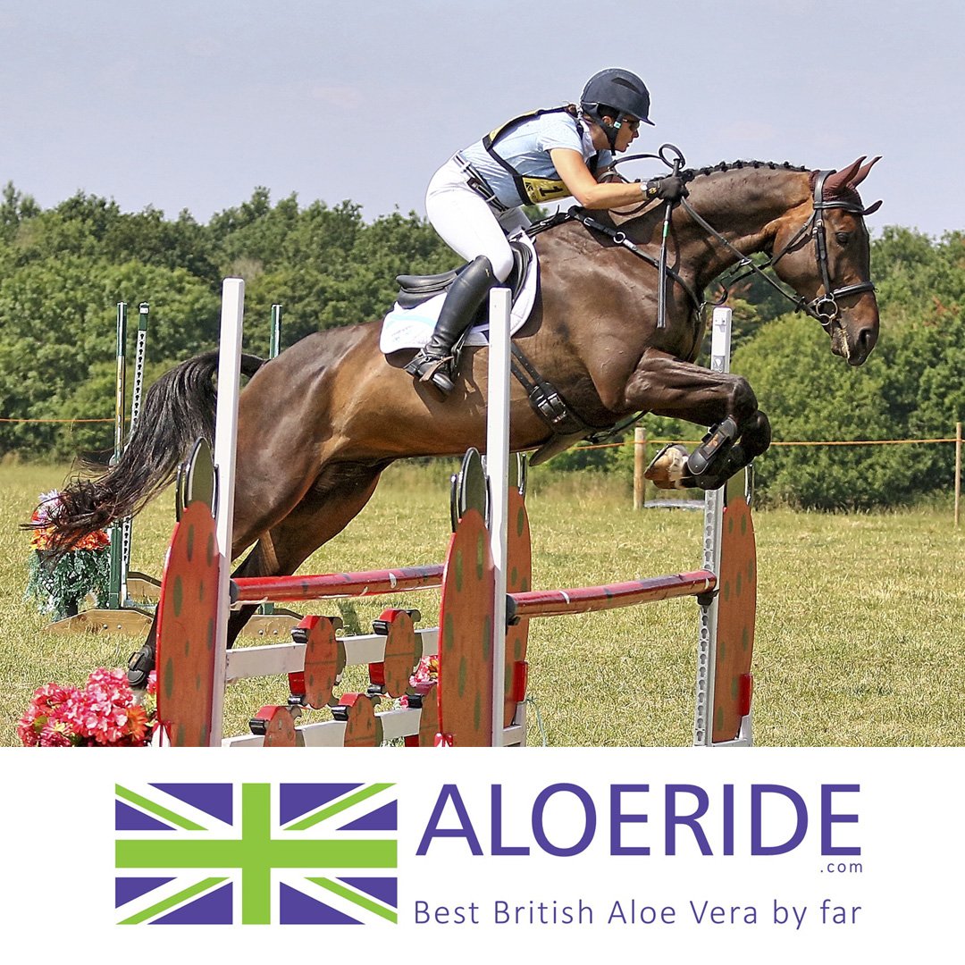 Fantastic feedback "Why I still love this supplement" from Three Day Eventer Tamsin Drew about Aloeride aloe vera. ow.ly/voPO30kU1fH  Photo shows her riding Ziggy at Buckminster Park HT 2018.