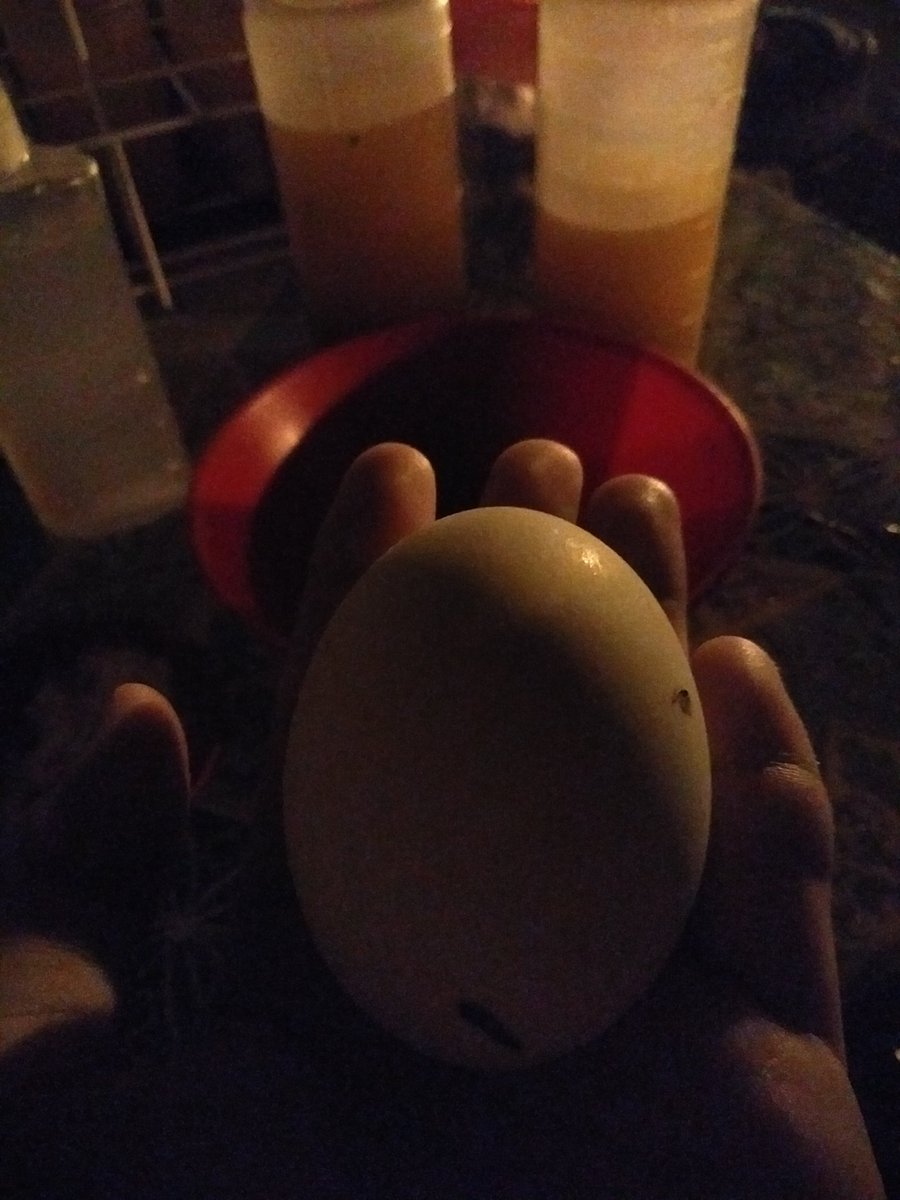 080bhang's tweet image. Kakaon ngyud ug balot . Grabe grabeee sya ra gyud nakapugos 🙈