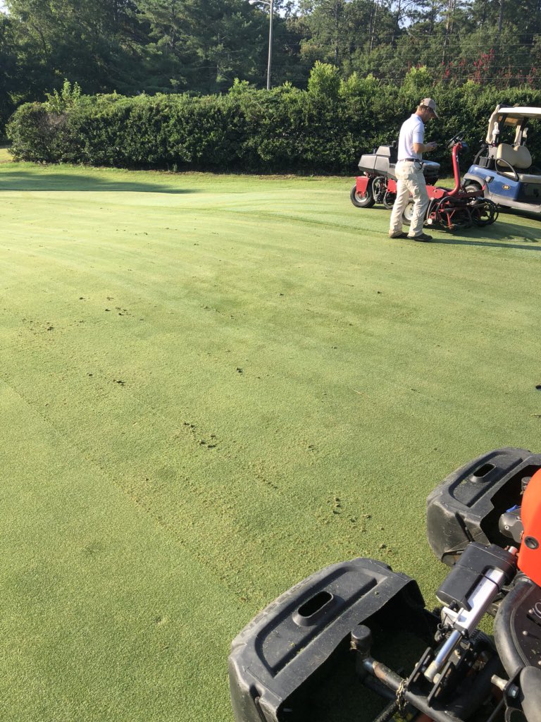 SunsetGCM's tweet photo. Just a light Vcut before play then mow behind. https://t.co/ulCosTNf41