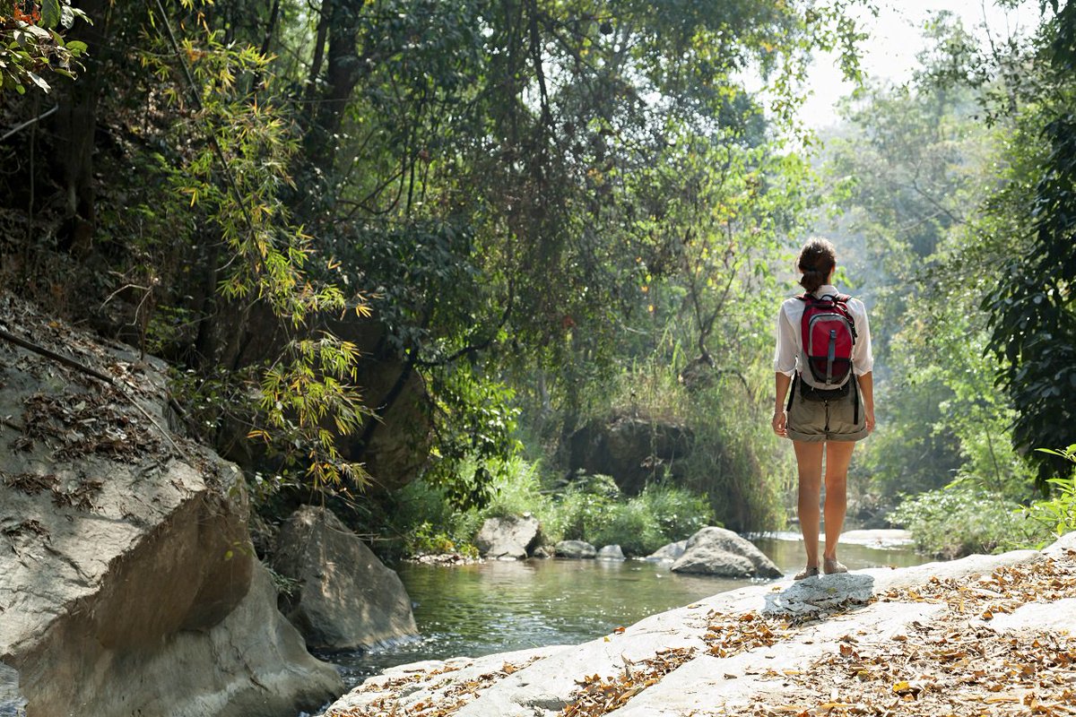 ParticipACTION's tweet image. **GIVEAWAY: $50 MEC gift card**

What hidden gem do you go back to time and time again? Retweet and like this post and reply with a photo of your favourite outdoor viewpoint or hideaway for the chance to win.