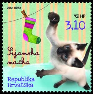 Number10cat's tweet photo. #WorldCup of Cats:
#CRO v #ENG https://t.co/zsQfIE8qHC