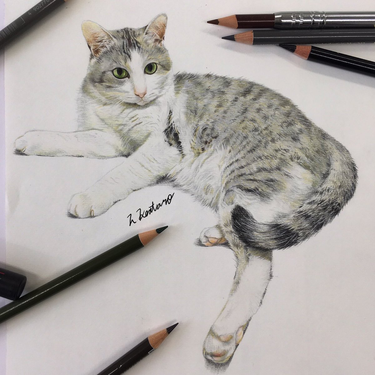 色鉛筆画 色鉛筆画完成！ 今回は最初にコピックでうすいグレーで塗ってから