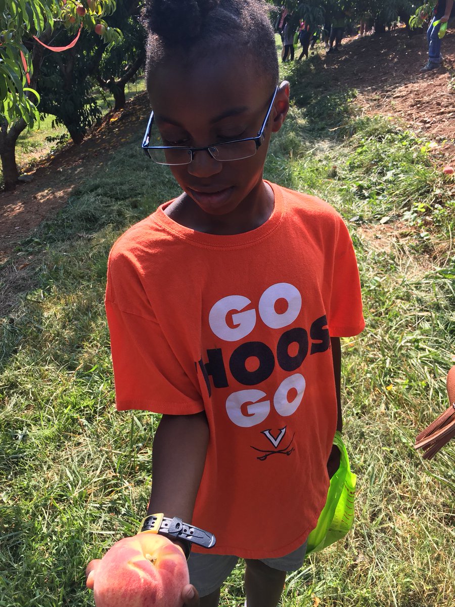 borshoski1's tweet photo. Spending the day @CarterMountain with our kids picking peaches and eating ice cream on this gorgeous day!! @mscsims81 @McombsCombs @dgreads02 @AgnorHurtPTO https://t.co/H90H70cIN9