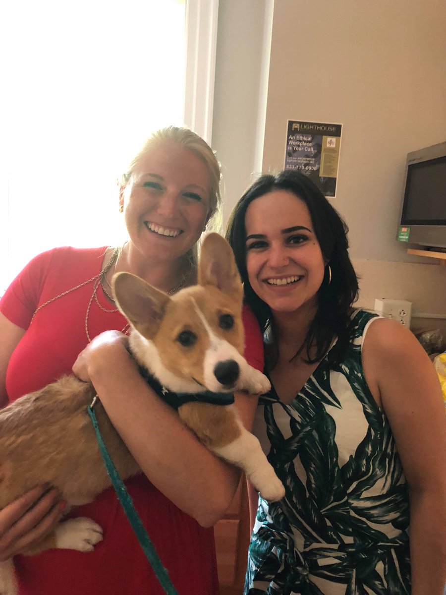 SjuJordan's tweet photo. @SjuKate was REALLY excited about our newest additions to @SJUAdmissions!! We are so happy to welcome a new counselor, Sofia and her (our) new corgi, Gus! https://t.co/QNCGBY7MJU