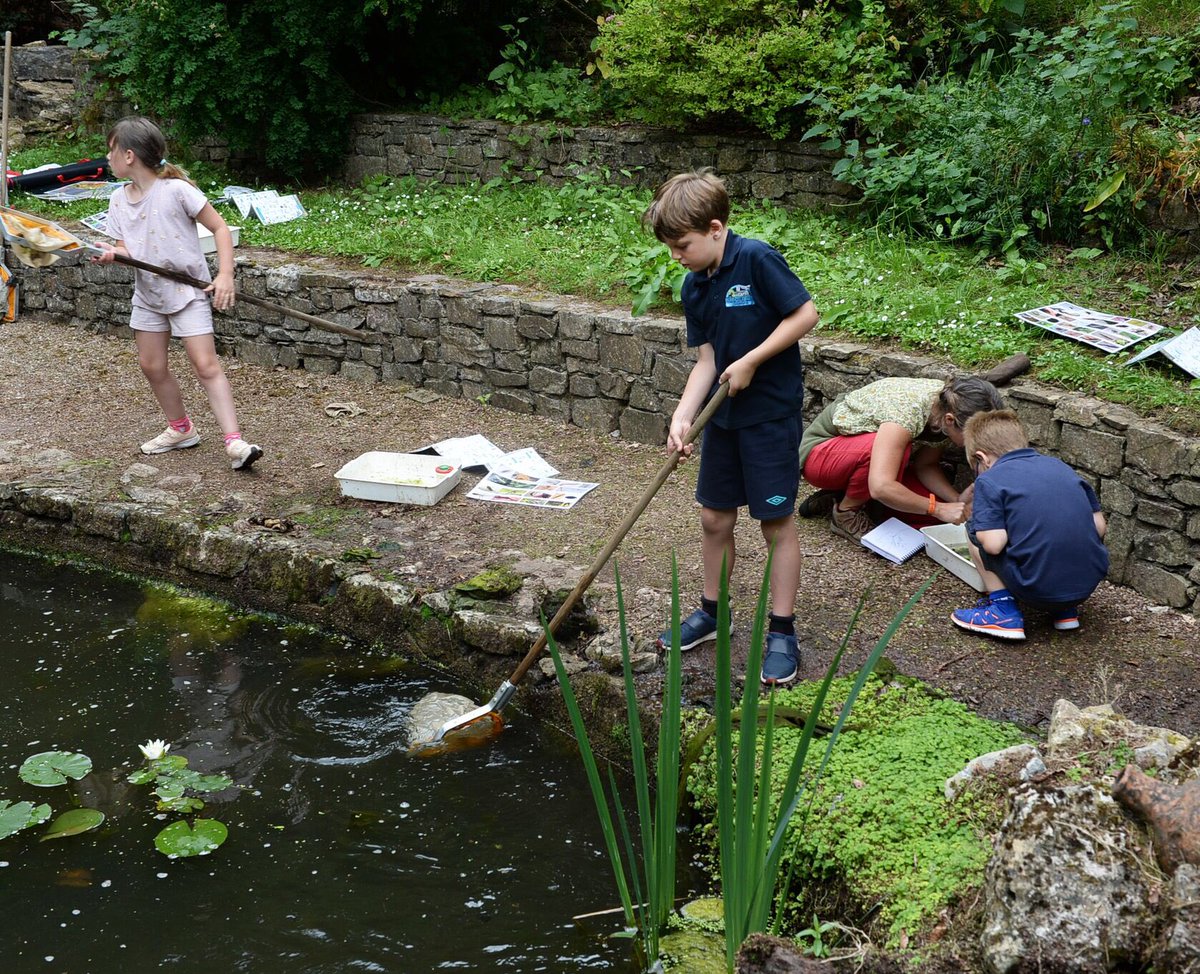 The Young Darwinian (@youngdarwinian) on Twitter photo Great to see so many kids get excited about science <a href="/darwincentre/">Darwin Centre</a> #stem #science #ponddipping #education Great to see so many kids get excited about science <a href="/darwincentre/">Darwin Centre</a> #stem #science #ponddipping #education
