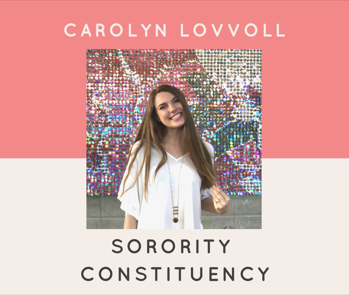 Lehigh University Student Senate XXXVI tweet media