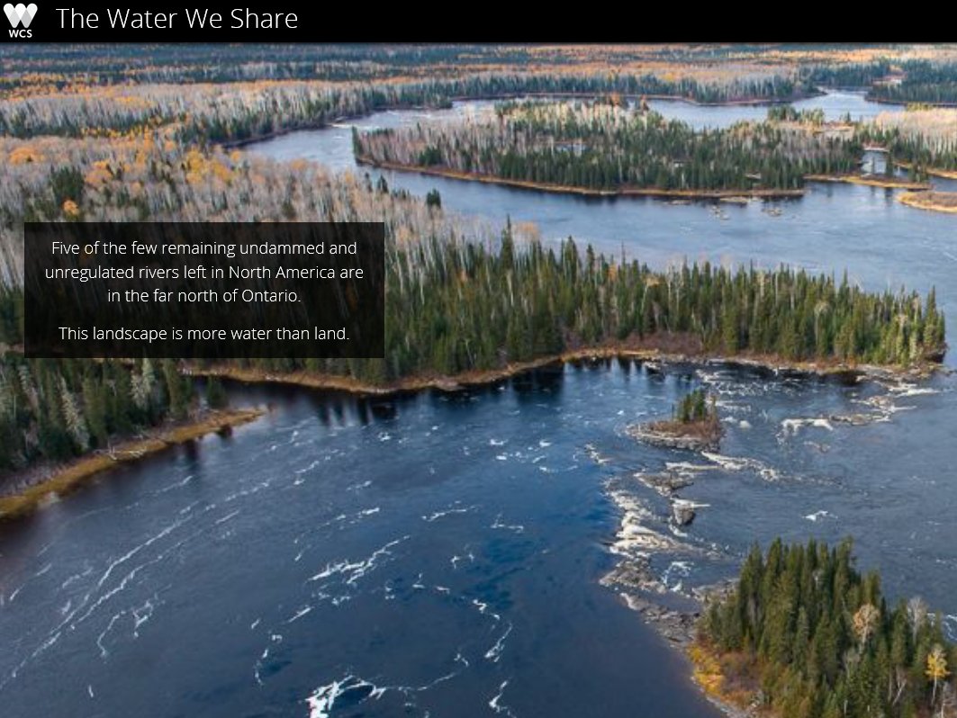 Correspondance, tome 7: