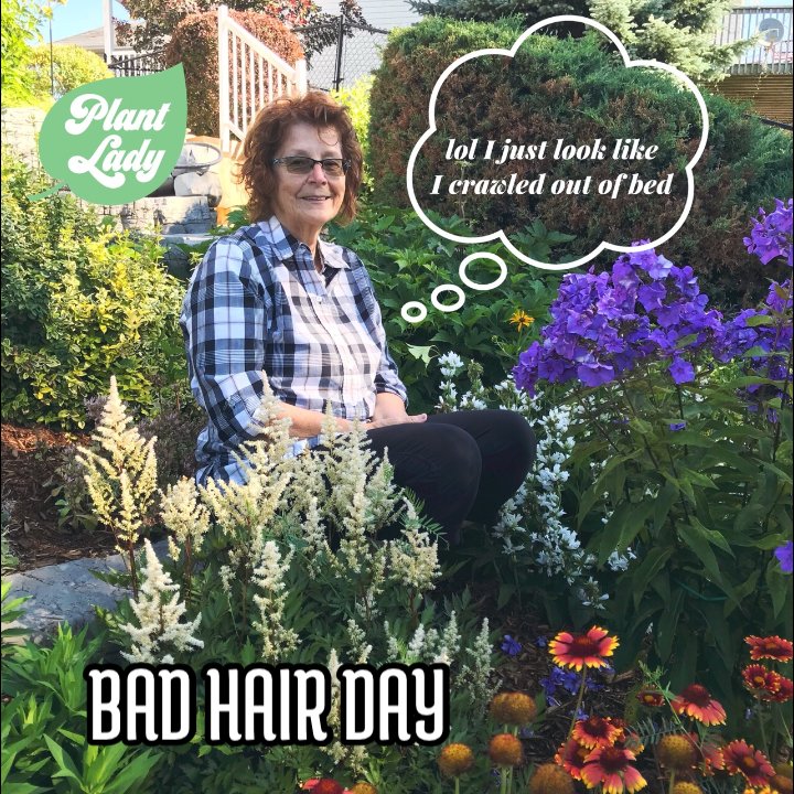 jgazomckim's tweet image. I love sitting in my garden , especially in the morning. 
I guess one should check one’s hair before letting her husband take a pic. 
It looks like I just rolled out of bed. 
Hope this gives everyone a smile.