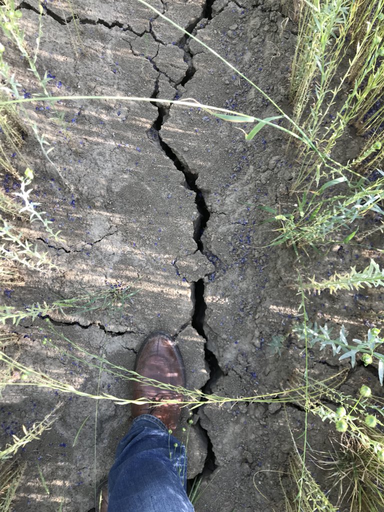 Decock frederic tweet media