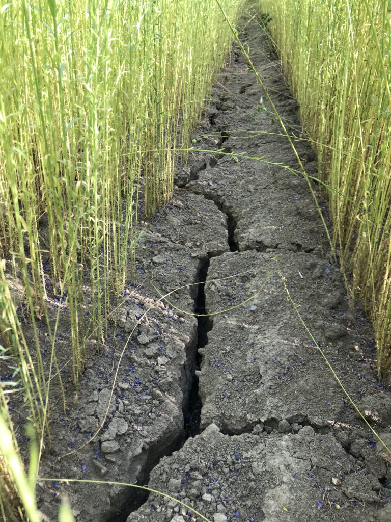 Decock frederic tweet media