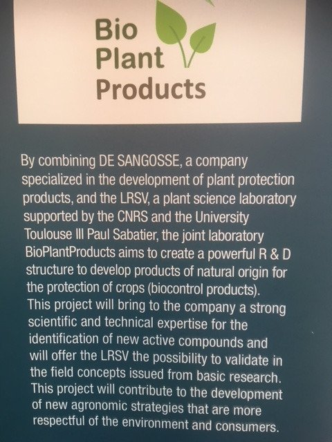 CNRS_Toulouse's tweet image. Christophe Roux du @LRSV_Toulouse est sur le stand @CNRS #ScienceToBusiness pour présenter le laboratoire commun BioPlantProducts avec @DESANGOSSE 
➡️cnrs.fr/midi-pyrenees/…