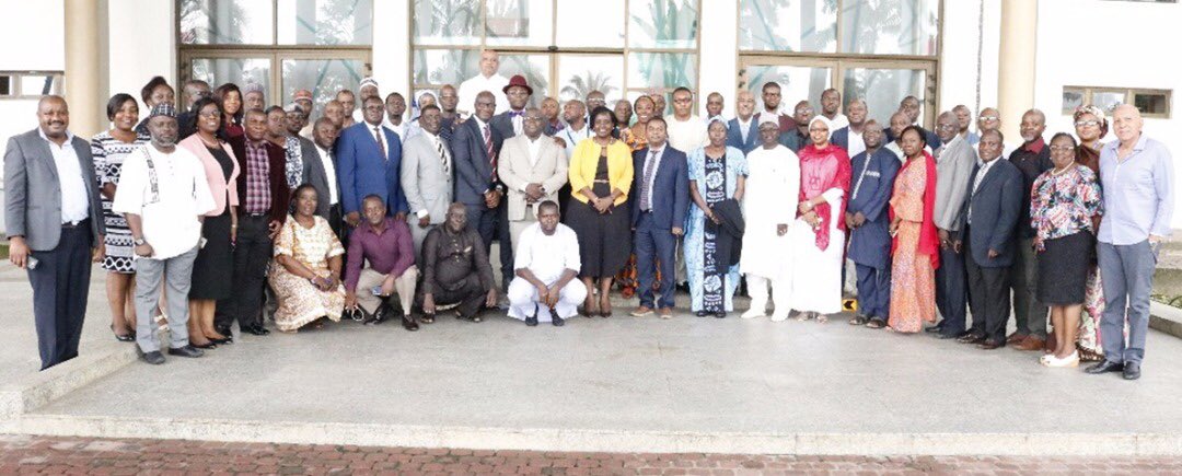 Fiona Braka tweet media