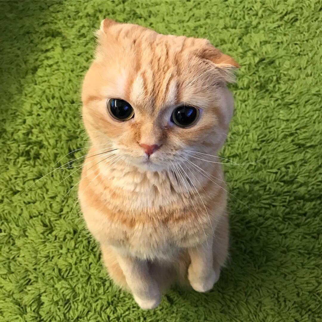 FeIions's tweet photo. https://t.co/248xLVSLwR
