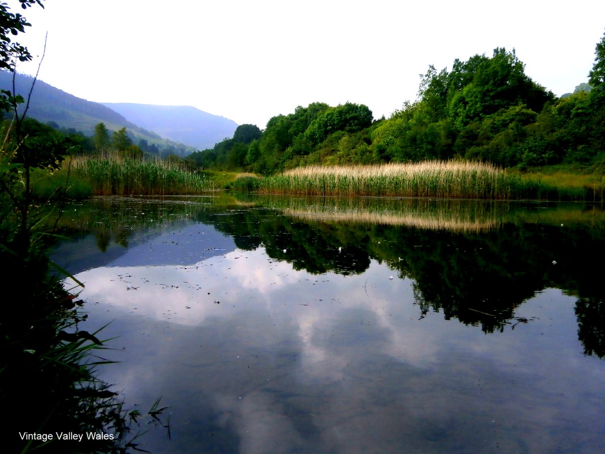 vintagevalleys's tweet photo. Reflected views @vintagevalleys #GarwValley #Wales #summer #wildflowermeadow #FindingMyHappyPlace #Pontycymer https://t.co/a6yyyxk1b5