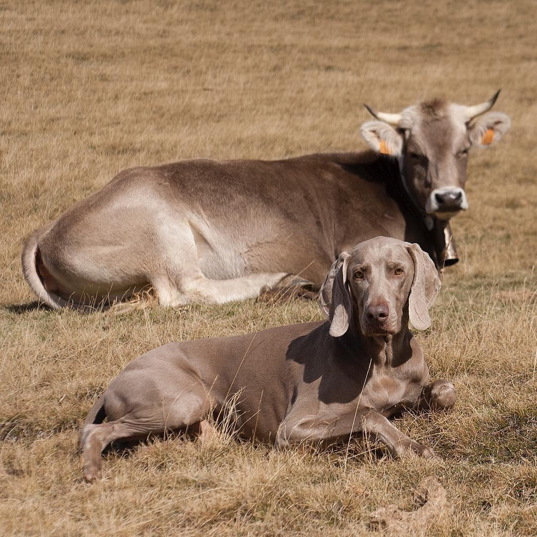 When you know something is wrong in the family. @frametheweim