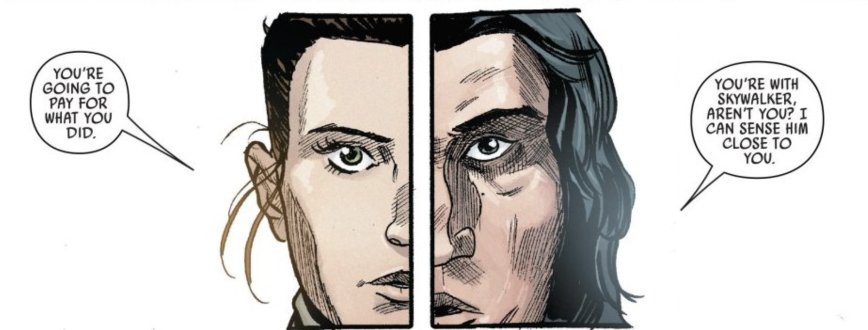 The symbolism continues more recently in the The Last Jedi comic adaption and is emphasized again by its artist  @Mister_Walsh.This concept has NOT been put aside post-TLJ and unlike Rey's parents, shouldn't be forgotten as we wait and theorize about Episode IX 