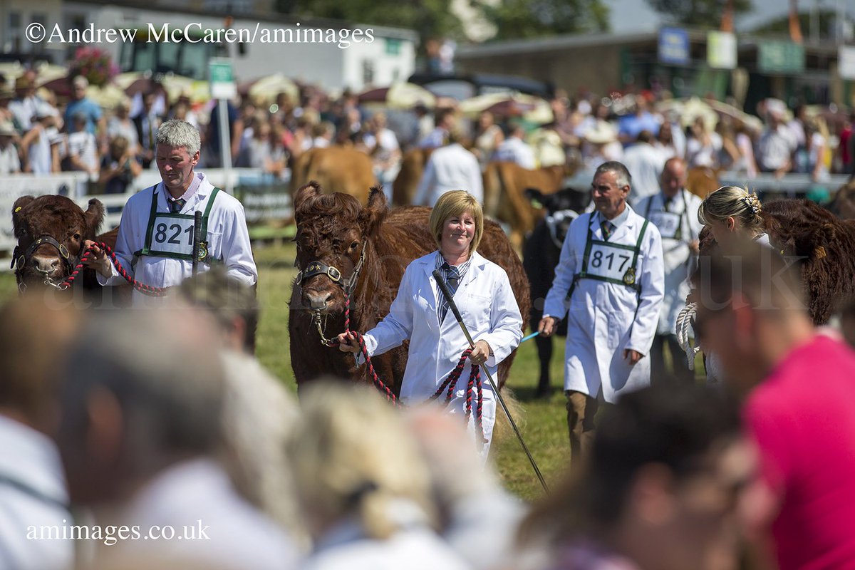 Today at #greatyorkshireshow