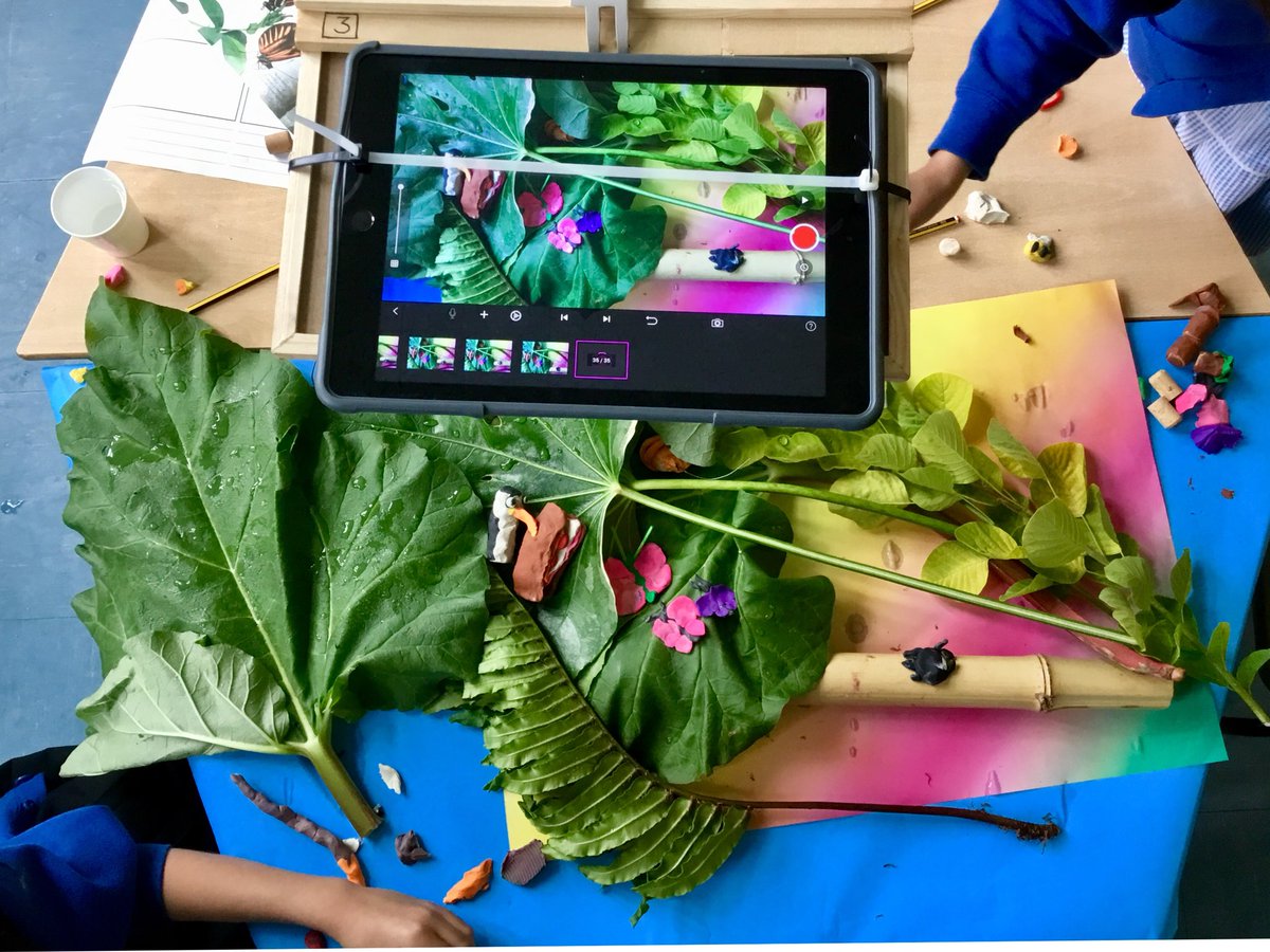 AnimateCity's tweet image. Gorgeous - and misty - afternoon with mixed group of Y3+6’s @ChilliRoad. Making ‘Window to the Jungle’ films to project into a large scale collaborative installation. Thanks to Kate Hancock and Haltwhistle Film Project for inviting me to contribute! It was LUSH!!