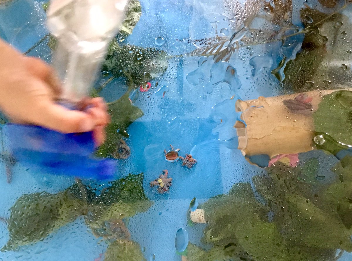 AnimateCity's tweet image. Gorgeous - and misty - afternoon with mixed group of Y3+6’s @ChilliRoad. Making ‘Window to the Jungle’ films to project into a large scale collaborative installation. Thanks to Kate Hancock and Haltwhistle Film Project for inviting me to contribute! It was LUSH!!