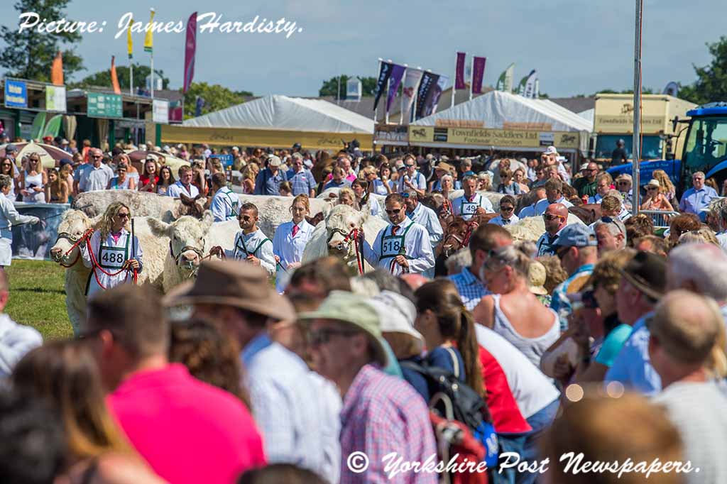 snapperjim's tweet photo. A few pictures from day 2 at The 160th @greatyorkshow #GYS2018 #greatyorkshireshow #Harrogate #Yorkshire @yorkshirepost #yplive #muckingout #washingdown #camping with your #livestock #judging @KateMall_Photo @IanDayPix @MadCowFudge @JoMFranciscos @sdphotos1 @benbthewriter https://t.co/faN0sFPuEb