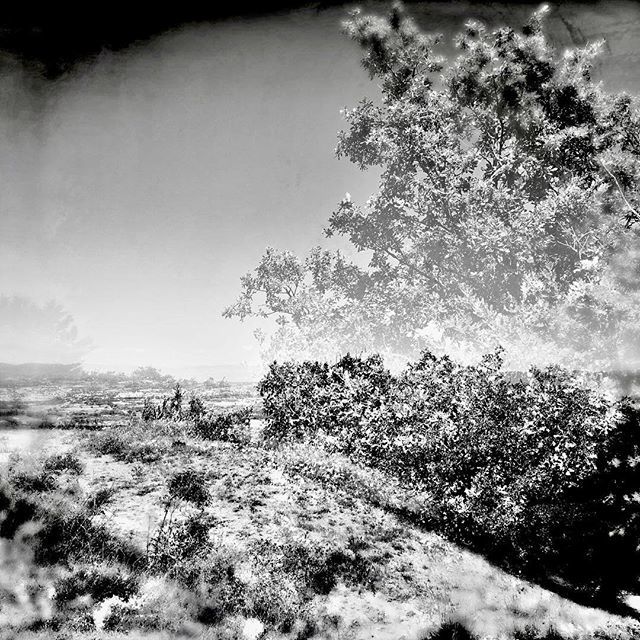 aivicmusic's tweet photo. La Quille, Provence
#doubleexpo #doubleexposition #doubleexposurephotography #doubleexposed #doubleexposureeffect #doubleexposure #bnwphotography #experimentalphotography #minimal #lensculture #lensculturestreets #bnwphotography #blackandwhitephoto #bla… https://t.co/ELUc1WcUax https://t.co/RdS3alNTyM