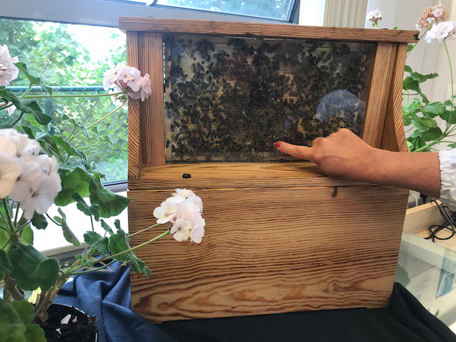 MeathLibrary's tweet photo. Dunboyne Library were 'Busy as Bees' with our Honey Bee workshop. Helen from Trim Library taught the kids about how Bees make honey and how important they are to the environment as well as letting them sample some of her homemade honey. #stem #bees #meathlibraries #libraries https://t.co/2zt3TfdorT